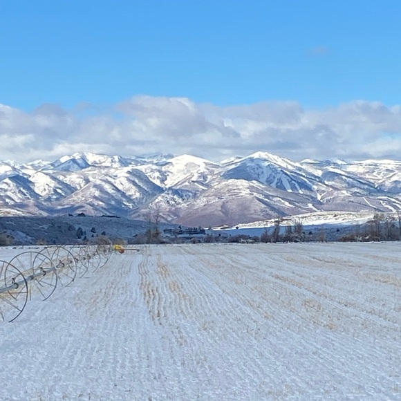 Meet your Posher, Lisa - Picture 2 of 5